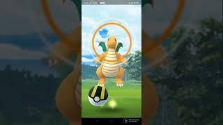 Dragonite in wild / Pokemon go