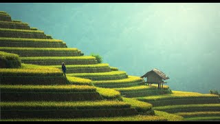 Zen Relax, Chinese Bamboo Flute Music, Sounds of Nature, Relaxation, Meditation with Music (1 Hour)