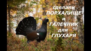 Сделали галечник и порхалище для Глухаря...