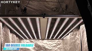 the best 2022 professional led grow light manufacturer in china