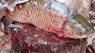 how to cut fish at home,boneless fish pakora,fish pakora telugu,fish 65 gravy recipe,