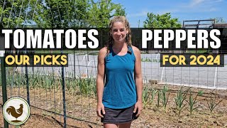 Direct Sowing Tomatoes and Peppers - How to and Varieties for 2024