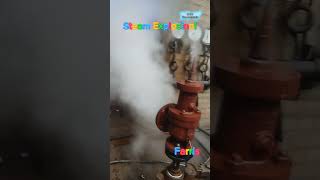 Steam explosion from testing Farris Safety relief Valve #steam #satisfying