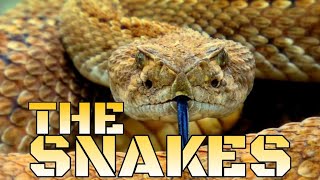 The Snakes are powerful skills abilities attacks various