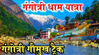 Gangotri Dham 2024 | Gangotri Dham Yatra 2024 | गंगोत्री धाम यात्रा 2024 | Char Dham Yatra 2024