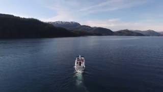 Eshamy Bay Alaska, Prince William Sound