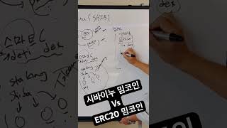 시바이누 밈코인 vs ERC20 밈코인