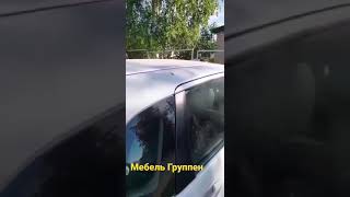 Как голуби определяют такое?