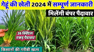 Gehu ki kheti 2024 me🌾गेहूं की खेती संपूर्ण जानकारी🌱Gehu ki kheti kaise karen🌾Wheat farming 2024/25