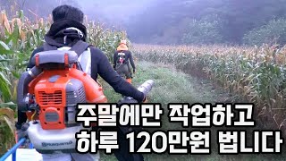 군대에서 배운 기술로 하루 일당 120만 원 버는 40살