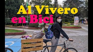 Viveros de Coyoacán| Al vivero en Bici| Compré plantas y macetas para balcón| blog