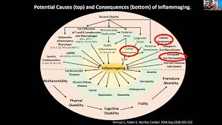 Webinar | Inflammation And Aging