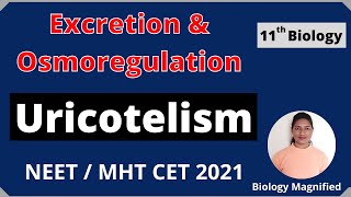 Uricotelism | Modes of Excretion | Excretion & Osmoregulation | NEET | MHTCET 2021 | 11th Biology