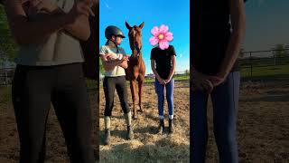 im gonna miss u @Rides_Ponies  😭🫶🏻#fypシ゚viral #horse #dance