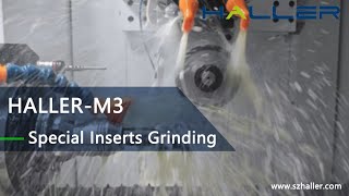 Haller-M3|Special Inserts processing in 5-axis CNC tool grinding machine #5axismachining #cnc