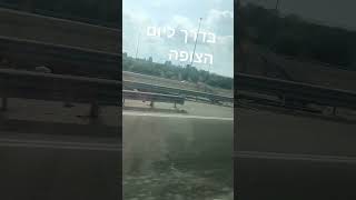 #phonk #צופים #שבטשורק בדרך ליום הצופה