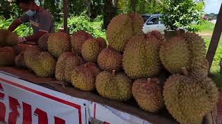 Thailand - Countryside