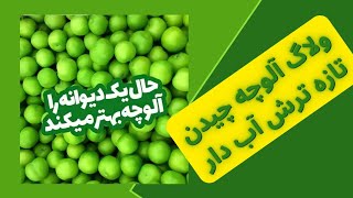 ولاگ طبیعت گردی در ایران | ولاگ آلوچه چیدن روستا | یک روز با من زندگی روستایی