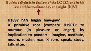 Hebrew Word Studies: Psalm 1 vs. 2