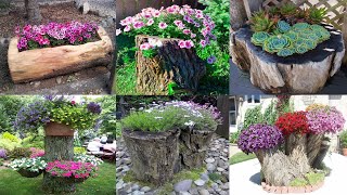 Garden ideas - 36 Ý Tưởng Trồng Hoa Trên Những Khúc Gỗ Rất Độc Đáo