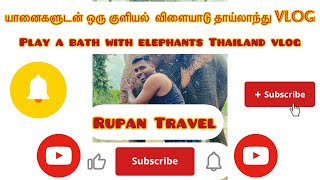 elephant show Thailand யானைகளுடன் ஒரு குளியல் விளையாடு தாய்லாந்து vlog “