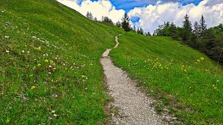 Durch herrliche Blumenwiesen zwischen Wetterstein und Karwendel am großen Kranzberg (1397)