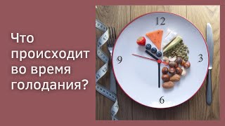 Что происходит во время голодания? Сергей Груздев