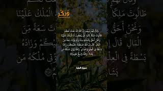 تلاوة جميلة من سورة البقرة الآية 247 بصوت القارئ مشاري راشد العفاسي #حالات #فولو #quran #shorts