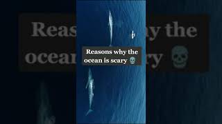 Reason why the ocean is scary | Credit: nyxblood