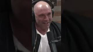 Most Sane Joe Rogan Experience