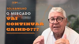 SOJA&MILHO - Mercado vai continuar caindo?