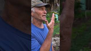 His WORST Sweet Potato Harvest.. And Why... Jim Kovaleski Explains.. #shorts