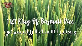 Finest Basmati Rice - افضل واجود أنواع الارز البسمتي