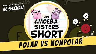 Polar vs Nonpolar - Amoeba Sisters #Shorts