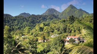 République Dominicaine  Plages et jardins tropicaux