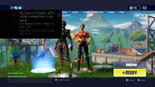 Fortnie skin battle