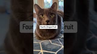 Has your cat tired these fruits 🐈 #cat #catlovers #funny #orangecats