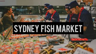 Sydney Fish Market / Australia’s Largest Seafood Market