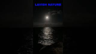 Full Moon Night with Relaxing Wave Sound, Calming Wave Sound, Deep Sleeping | Lavish Nature