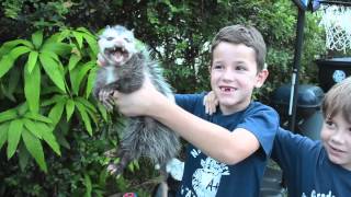 Possum Release Kid-Style