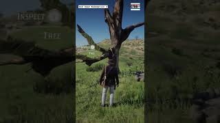 Warped Tree! #cydo9515 #shortsfeed #reddeadcommunity #thunder #lightning #warpedtree