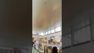 Dubaj mall akwarium