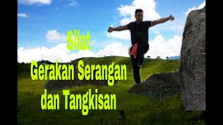 Silat, Gerakan Serangan dan tangkisan