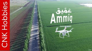 AMMIQ Wetlands, Bekaa Lebanon by drone  [4K]  |  عمّيق - البقاع الغربي، لبنلن