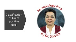 Classification Of Gram positive Cocci