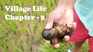 Village Life Chapter-2 | Catching Snails | Kalijapathar | Sundergarh | Soyuz's Vlog | #shorts