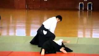 Demostracion Kanazawa Takeshi Shihan