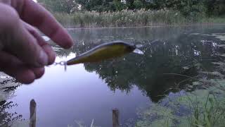 Life in Russia. Russian village. Fishing in Russia. Fishing - no fish...