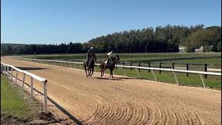 Breezing Up (outside) and Peachy Promises (rail) going a 1/4 on 10/18.