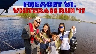 Whitebass Fishing Spring '17. Fremont Wolf River WI.